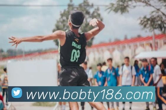 半岛· bob综合体育官方网站平台生态图